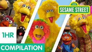 Sesame Street: The Best of Big Bird Compilation  1
