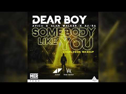 Avicii x Alan Walker - Dear Boy x Somebody Like U (ft. Au/Ra) [MASHUP]