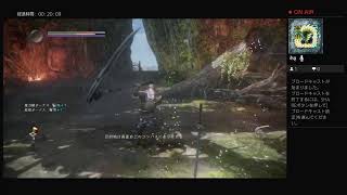[仁王2]初見生配信