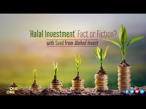 What is Wahed Invest and how can it work for you? | One-on-One Big Discussion