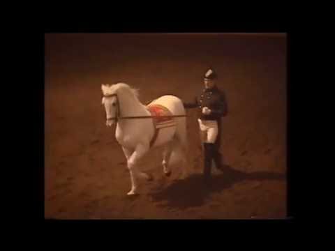 Spanische Reitschule Wien 1994 (4/6) - Am langen Zügel