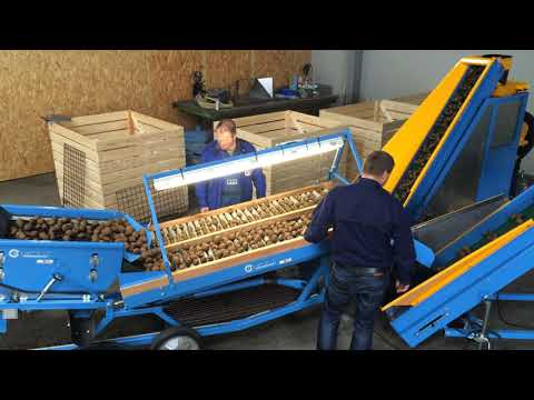 EURO-Jabelmann Kartoffellinie 2 - Potato processing line 2