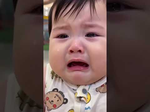 #萌寵出道計劃 #泰迪犬 #可愛的小狗狗 #0-3歲兒童啟蒙早教 #這也太萌太可愛了吧