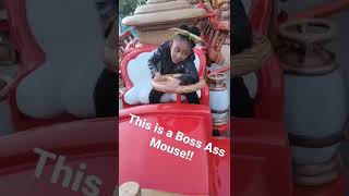Check Mickey Mouse Net worth!!  #shorts #subscribe #youtube #disney #Disneyland