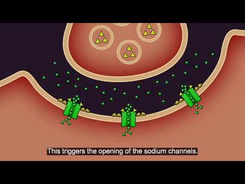 Resistance101 - Insecticide classes & modes of action