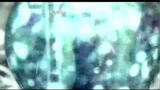 Joan Osborne Love Is Alive