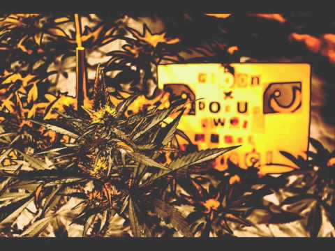 GIBON X DOLUN - SWOJE MUSZĘ WZIĄĆ