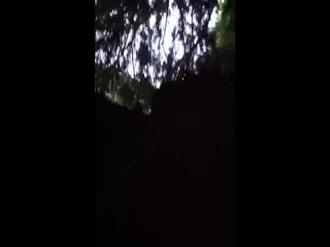 BossLevel Legacy - Current Position Freestyle