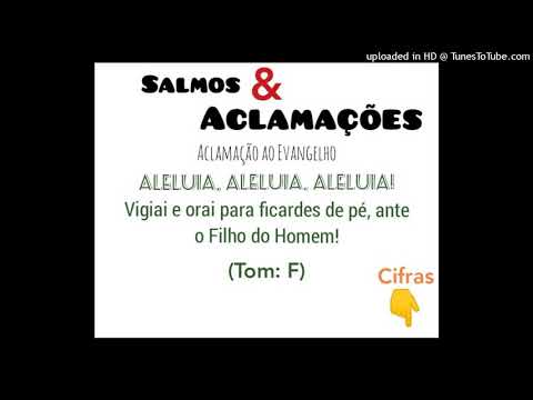 ALELUIA - VIGIAI E ORAI PARA FICARDES DE PÉ (Salmos e Aclamações) - CATÓLICA