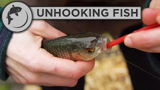 How to Unhook a Fish with a Disgorger