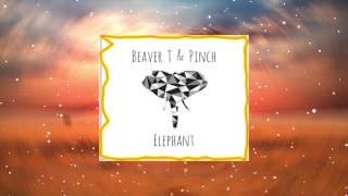 Beaver T &amp; Pinch - Elephant (MFrecords)