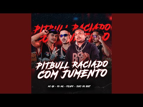 Pitbull Raciado Com Jumento
