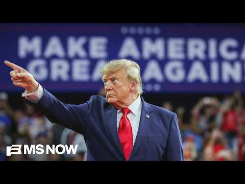 ‘The schtick worked until it didn’t’: Trump continues campaign blitz as warning signs mount for GOP