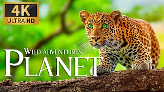 Wild Adventures Planet 4K 🐾 Ultimate Discovery Expeditions with Relaxing Piano Music