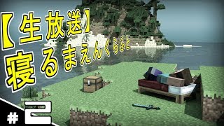 #2【生放送】寝るまえんくらふと【マイクラ】