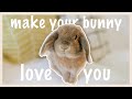 How To Bond With Your Rabbit
