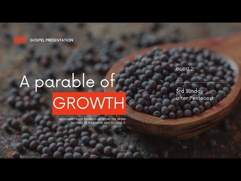 SERMON FOR 3RD SUNDAY AFTER PENTECOST - REV. JAMES CERDEÑOLA