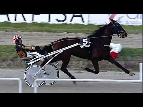 Napoli Trotto 03/02/2023 - 7ª corsa - TRIS