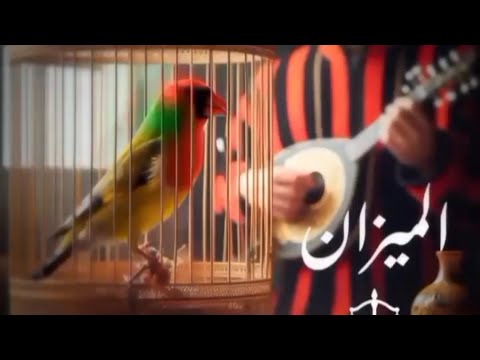 USMA 2025 - الميزان