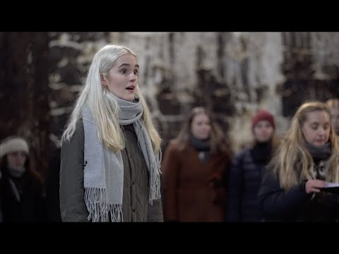 Graduale Nobili - Lauliku Lapsepõli