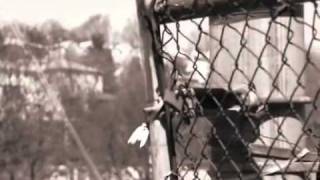 Styles P ft. Tyler Woods - That Street life