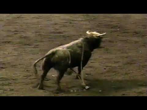 Norman Curry vs Passport Jr. - 97 PBR Vancouver (82.5 pts)