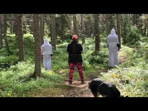 Symppis Nörtti MH-luonnekuvaus 15.6.2024 7/8