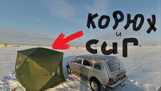 Ловля сига на искусственные приманки