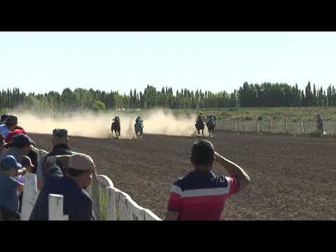 CANDY  Club Hipico "Cabo Alarcon" - Picun Leufu  -  15-01-2023