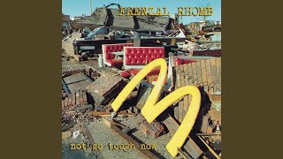 Frenzal Rhomb Secret Track (Secret Track)