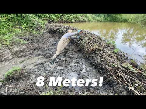 Beaver Dam Break Causes Shocking Flash Flood!