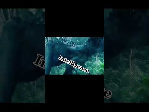 BobaFett/Rancor V.S. The Indominus Rex, WHO WINS!?!? #shorts #shortvideo #jurassicworld #starwars