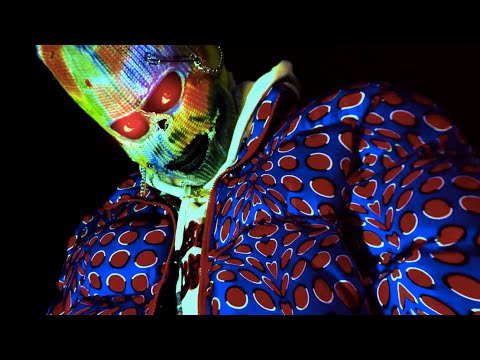 Tae Hawfa - Yeah 4x [Official Music Video]