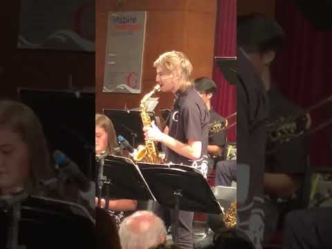 Out of the Doghouse - Solo