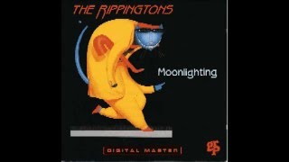 The Rippingtons - Open All Night