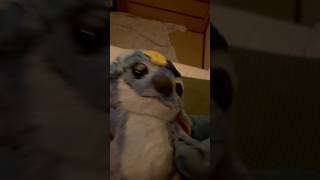 i love love stitch