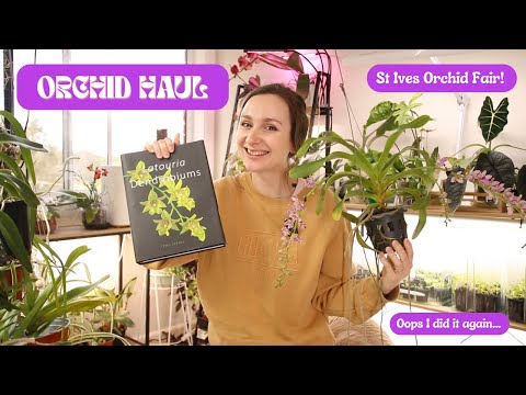 St Ives Orchid Fair Haul! | New obsession and rare finds