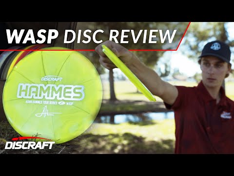 The Wasp | Adam Hammes | Discraft Disc review