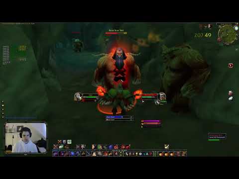 Level 50-52 | World Record warrior speedrun 1-60 3d17h31m - Classic wow