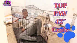 Top Paw 42 Folding Crate and a Rue Update!!