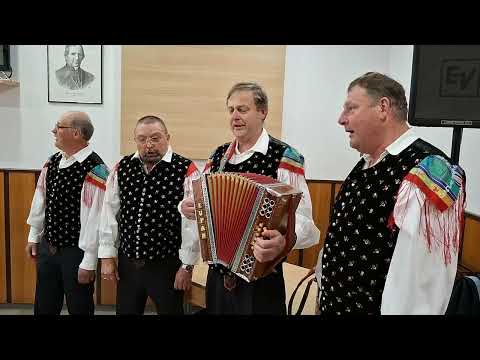 Prijatelji Jožeta Bohorča - Nocoj, ko vse je mirno (v živo)