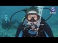 Delphinus Diving Schools, Tauchen auf Fuerteventura mit Delphinus Diving School, Delphinus Diving School Fuerteventura, Spanien, Kanarische Inseln