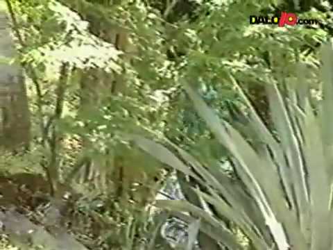 Abdala Bucaram "El Velero"