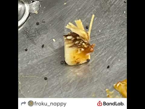 Kiro King - $lay Freestyle (prod. By eskry)