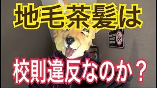 地毛が茶髪で校則違反？？バカ教師の過剰な教育は人権侵害！