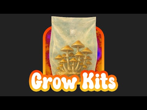 Grow Kits: A Complete Step-by-Step Guide To Successful Fruit!