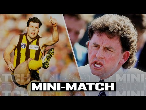 Mini-Match: North Melbourne v Hawthorn, 1994 Qualifying Final | AFL