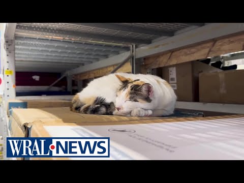 A Virginia community seeks help returning a missing pet home from North Carolina