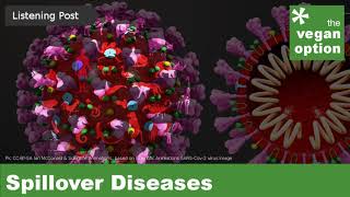 Spillover Diseases