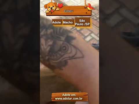 Vídeo de Calleri